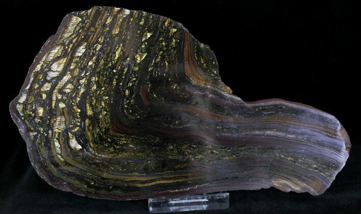Banded Tiger Iron Stromatolite - Pilbara, Australia ( Billion Years) #22492